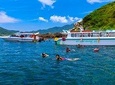 Cham Island Day Tour & Snorkeling from Da Nang with Group tour