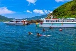 Cham Island Day Tour & Snorkeling from Da Nang with Group tour