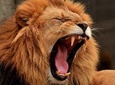 4 Days / 3 Nights Join group safari