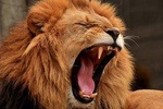 4 Days / 3 Nights Join group safari