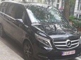 Luxury Minivan from Charleroi airport to the city of Brussels