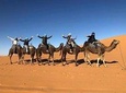 1 Night Camel Trekking Tour in Merzouga Desert Camp 