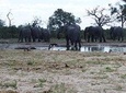 5 days Kasane to Maun Safari (Kasane, Chobe, Khwai, Moremi, Maun)