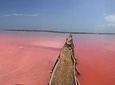 Pink Sea of Galerazamba