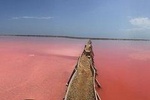 Pink Sea of Galerazamba