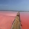 Pink Sea of Galerazamba