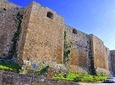 Small Daily Tours in Beirut City