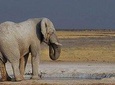 06 Days Etosha and Sossusvlei Namibia 