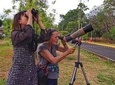 Looking for Wild Sloths, Birds and Butterflies in San Jose!