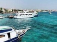 VIP Snorkeling by boat to Ras Mohamed in Sharm el sheikh 