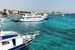VIP Snorkeling by boat to Ras Mohamed in Sharm el sheikh 