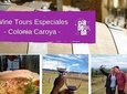 Wine Tour Privado - Colonia Caroya