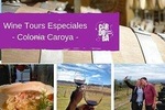 Wine Tour Privado - Colonia Caroya