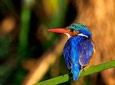 9 Days Private Camping Tanzania Safari Tour