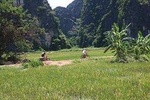 Ninh Binh 2 Days Explore Rural Villages, Cycling, Tam Coc, Trang An,Bai Dinh,mua