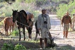 Horseback expedition to The Andes, 3 days