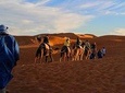 Sahara Désert 3 Days 2 Nights include transport tent lunch and B&B camel Ride