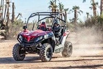 Buggy Tour in Marrakech Palm Grove 