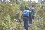 1 Day Hiking Adventure At Mt Longonot From Nairobi(minimum 2 Pax)