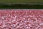 9 Days / 8 Nights Join group Safari 