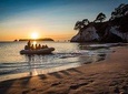 One Hour Cathedral Cove Boat Tour in Hahei 