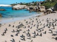 South Africa Cape Town, Cape Peninsula Full Day Tour