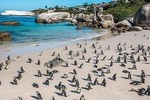 South Africa Cape Town, Cape Peninsula Full Day Tour