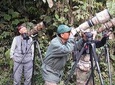 Birding Tour