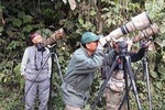 Birding Tour
