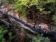 Canyon Half Day Tour