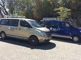 Liberia Airport Transfer from/to Playa Tamarindo