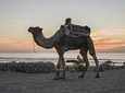 Essaouira Small Peaceful Romantic and Traditional Town