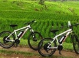 Jatiluwih E-bike