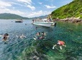 Cham Island Discover & Snorkeling from Hoi An with group tour
