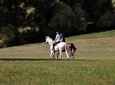 Day Trip: Olive Oil And Wine Museum With Brunch + Horse Riding