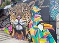 Medellín & Comuna 13 Private Tour