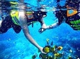 Blue Lagoon Paradise Snorkeling Tour