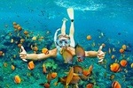 Bali Snorkeling Trip at Blue Lagoon With Transfers