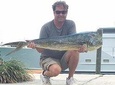 Half day Deep sea/light tackle fishing charters 