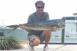 Half day Deep sea/light tackle fishing charters 