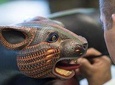 Private Day Tour including Artisan Villages of Alebrijes and Black Pottery