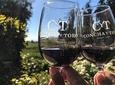 Visit Cocha Y Toro With Tasting
