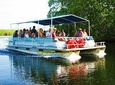  Black River Safari & YS Falls Tour from Runaway Bay