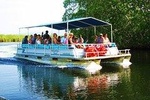  Black River Safari & YS Falls Tour from Runaway Bay