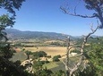 Full day of the top 3 Luberon Hilltop Villages from Marseille / Aix-en-Provence