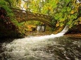 Vancouver to Bellingham Day Tour Private