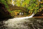 Vancouver to Bellingham Day Tour Private