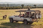 Cape town private Tour - The Best of Big five safari 