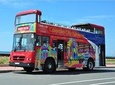 Colombo City Tour by Open-Deck Bus