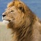 8 Days Camping Tanzania Safari Tour